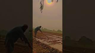 FARMERS LIFE/VILLAGE LIFE #flutebackgroundmusic #villagelife #farming #copyrightfreemusic