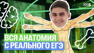 ВСЯ АНАТОМИЯ с реального ЕГЭ по биологии. 1 и 2 части | Марк Ламарк | 100балльный репетитор