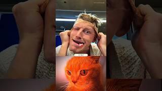 Mask Aura  #cat #bombastic #popular #shorts