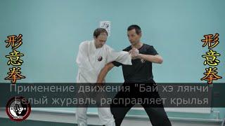 Применения синъицюань. Фрагмент семинара/Xingyiquan applications