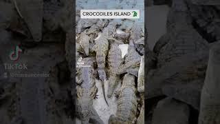 THE MOST DANGEROUS PLACES IN THE WORLD  CROCODILES ISLAND  #crocodile #viral #island #creepy #fyp