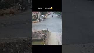 survival instinct viral shorts #viral #trending #ai #youtube #shorts