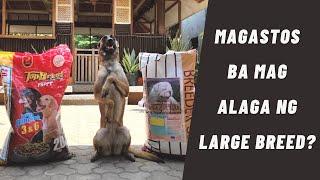 Vlog 144: GROOMING & MAINTENANCE #belgianmalinois #germanshepherd #husky #dogs