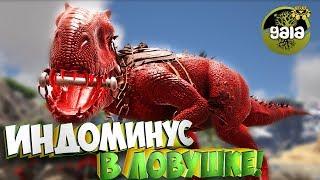 Ловушка для Dreadful Indominus Rex!  - Ark Survival Evolved Gaia #5