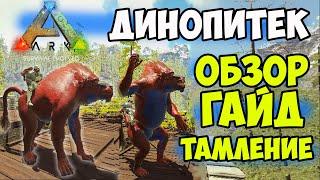 Как ПРИРУЧИТЬ ДИНОПИТЕКА в ARK Lost Island? Гайд, Обзор, Тамление Dinopithecus! КИДАТЕЛЬ ГРАНАТ!