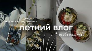 летний влог: жизнь с 2 собаками новый ежедневник наши будни