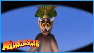 DreamWorks Madagascar | Best of the Lemurs | Madagascar Movie Clip