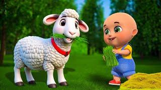 Baa Baa White Sheep Song New Compilation | Animals Farm | Baby Cartoon and Kids Songs | Baby Bobo