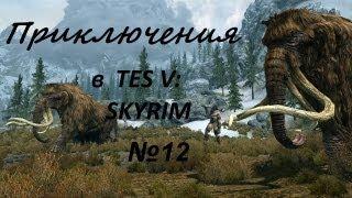 Приключения в TES: Skyrim #12 [Садия и бандиты]