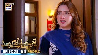 New! Teray Janay Kay Baad Episode 64 | Promo | ARY Digital Drama