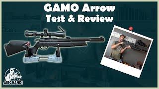 Gamo Arrow - Mein Test und Review