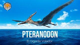 El Pteranodon "El Gigante Volador del Cretácico"