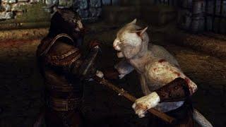 Khajiit Martial Arts