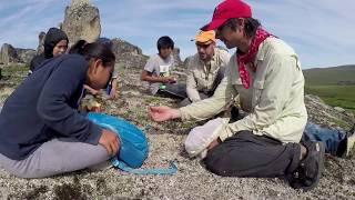 Bering Land Bridge National Preserve BioBlitz 2017