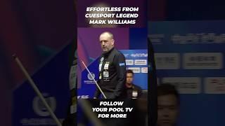 The care and control of the cue ball  #cuesports #sport #chinese8ball #markwilliams