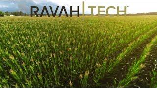 Introducing RavahTech Nutrisens