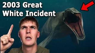 The 2003 Great White Shark Incident