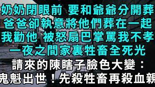 奶奶閉眼前，要求和爺爺分開葬，我爸卻執意將他們葬在一起，我勸他 被怒扇巴掌罵我不孝，可第二天 家裏的牲畜全死光，請來的陳瞎子臉色大變：：「鬼魁出世！先殺牲畜再殺血親！」#小說#爽文#情感故事