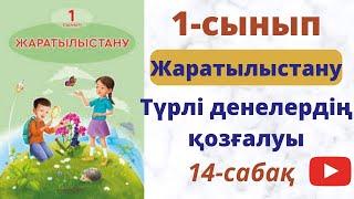 Жаратылыстану 1сынып. 14 сабақ. Түрлі денелердің қозғалуы.