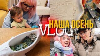 VLOG ЛЕПИМ ИЗ ГЛИНЫ, Отмечаем Хэллоуин, Посылки и Покупки, Новые суккуленты 