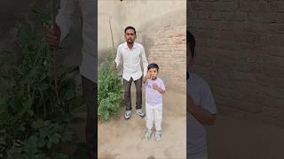 Papa vahan per Dekho #shorts
