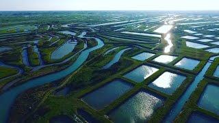 Cap Sud Ouest: Ile d'Oléron, intime et sauvage