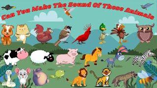 Can You Make The Sound Of These Animals | Animal Sounds Song | Kids TV