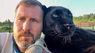 Luna the panther and rottweiler Venza are my little helpers (ENG SUB)