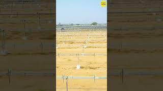 Bi- Facial solar modules | Everything YOU Need To Know About Solar Trackers 2024