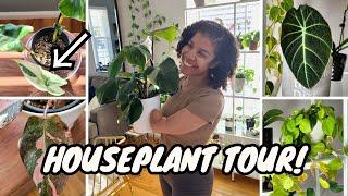 CHILL Indoor Houseplant Tour  | Spring 2024