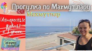 Аланья Турция, Махмутлар. Прогулка по Махмутлару.