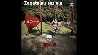 zaqatala