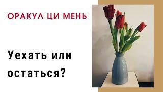 Уехать или остаться? Оракул Ци Мень практический разбор