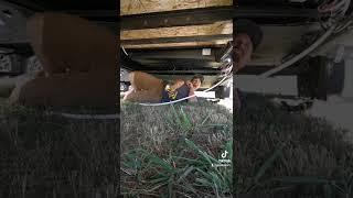 Black Tank Replacement Part 2