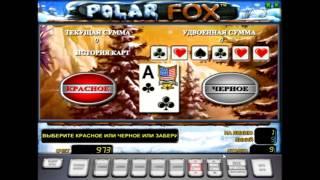 Обзор игрового аппарата   Полярный лис (polar fox)- правила и характеристики