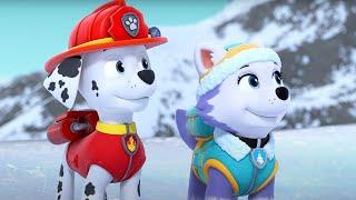 PAW Patrol - Polar Bears Rescue | WildBrain Toons | Cartoons for Kids