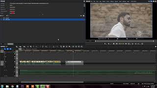 20 VIDEO FILTERS MOTION BLUR EFFECT || Wedding Film Maker || Edius Classes