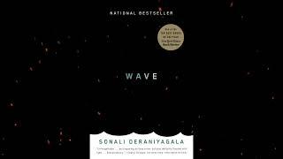 Plot summary, “Wave” by Sonali Deraniyagala in 5 Minutes - Book Review