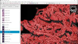 Object classification to identify markers with QuPath