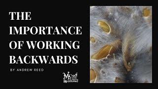 The Importance of Working Backwards Tips & Advice for New Mushroom Growers & Small Businesses