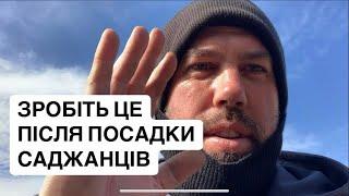 Зробіть це після посадки саджанців