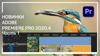 Scene edit detection. Новинки Adobe Premiere Pro 2020.4. Дмитрий Ларионов