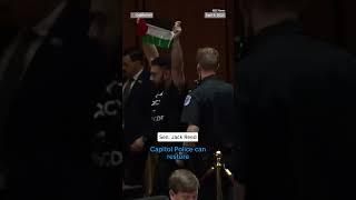Pro-Palestinian protester interrupts Senate hearing on DOD budget