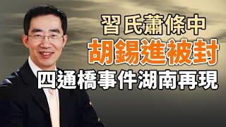 習氏蕭條中，胡錫進被封殺；四通橋事件湖南再現；委內瑞拉要變天（政論天下第1368集 20240730）天亮時分