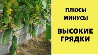 Высокие грядки ! О МИНУСАХ И ВСЕ ТАКИ ПЛЮСАХ. ОТЗЫВ