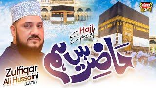 Zulfiqar Ali Hussaini - Labbaik Allah Humma Labaik - New Hajj Kalaam