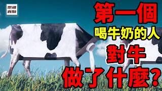 人類為何是唯一成年了還會喝奶的動物？乳糖不耐受怎麼還偏要喝牛奶？｜思維實驗室