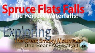 Spruce Flats Falls: One of the Best Waterfalls in the Smoky Mountain National Park!