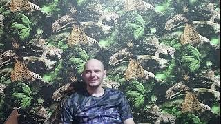Анонс стрима!
