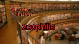 What does zoophilia mean?